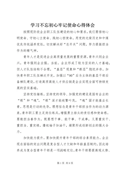 学习不忘初心牢记使命心得体会.docx