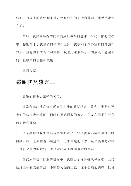 王迎善获奖感言