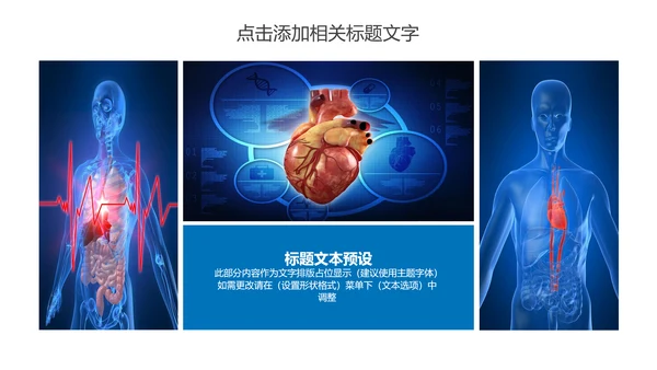 心脏医疗研究实验动态PPT模板