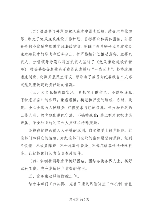 党风廉政建设和预防腐败自查总结.docx