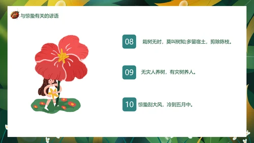 七星瓢虫惊蛰PPT模板