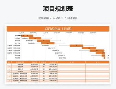 项目规划表