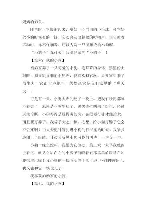 我的小狗作文250字.docx