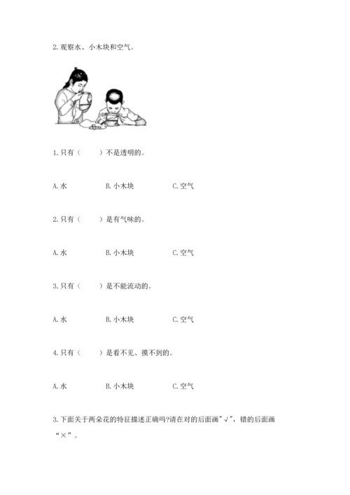 教科版一年级下册科学期末测试卷及参考答案【夺分金卷】.docx