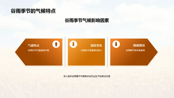 掌握谷雨农策