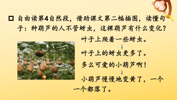14 我要的是葫芦   课件