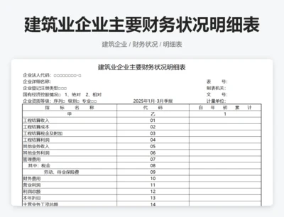 建筑业企业主要财务状况明细表