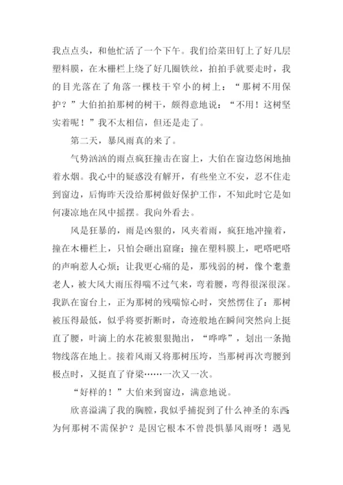 当暴风雨来临时作文.docx