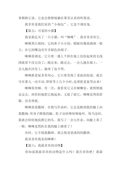 小动物的作文350字.docx
