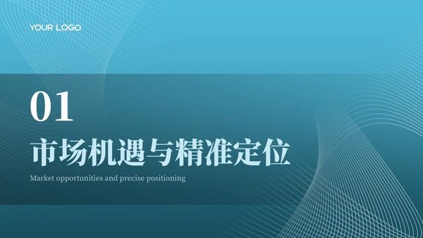 蓝色商务风互联网行业商业计划书PPT模板