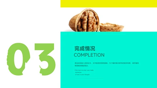 干果品牌策划案通用PPT模板