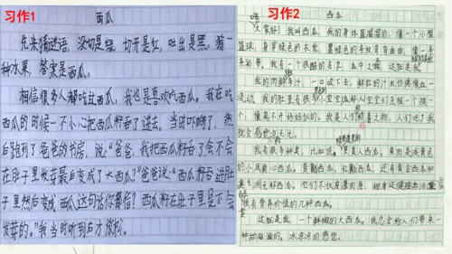 统编版三上第五单元 习作例文：我爱故乡的杨梅   课件