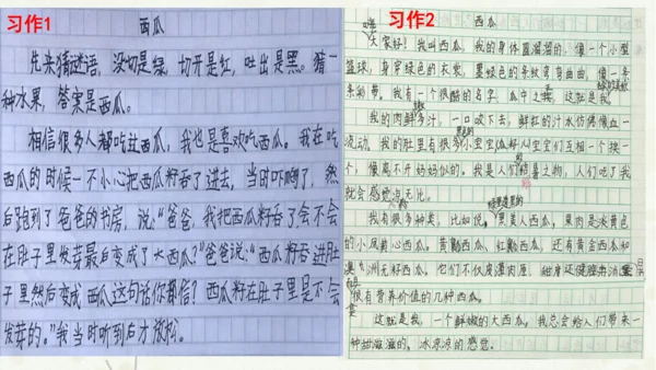 统编版三上第五单元 习作例文：我爱故乡的杨梅   课件