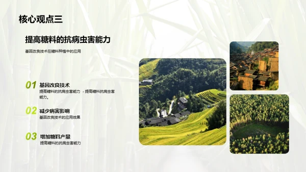 糖料种植的科技革命