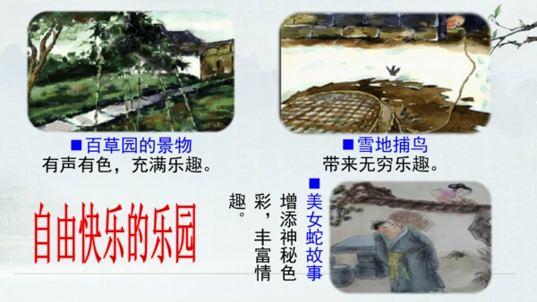 9《从百草园到三味书屋》课件(共33张PPT)2024-2025学年统编版语文七年级上册