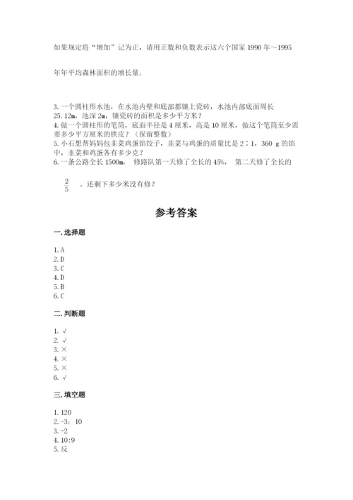 广州市天河区六年级下册数学期末测试卷完美版.docx