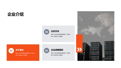 单色扁平3项企业介绍