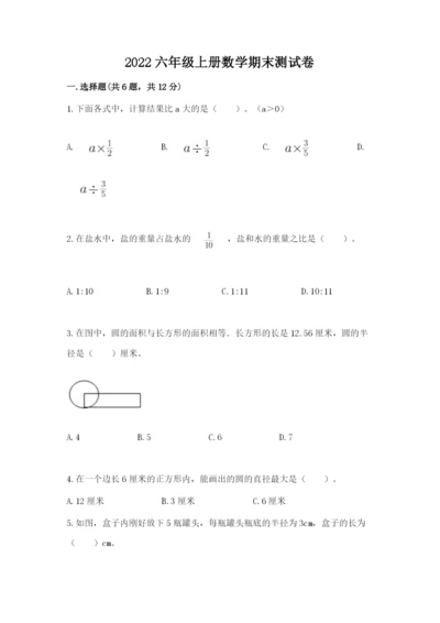 2022六年级上册数学期末测试卷（典优）word版.docx