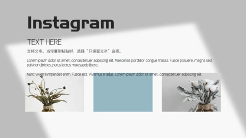 素雅文艺风摄影作品集通用PPT相册模板