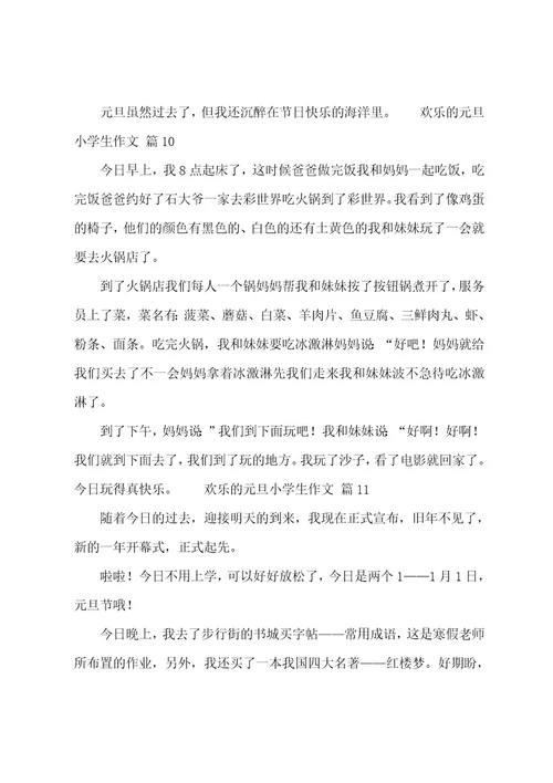 快乐的元旦小学生作文