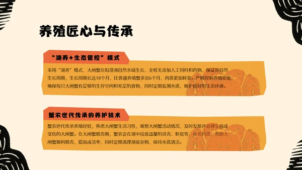 黄橙色手绘中国美食阳澄湖大闸蟹介绍PPT模板