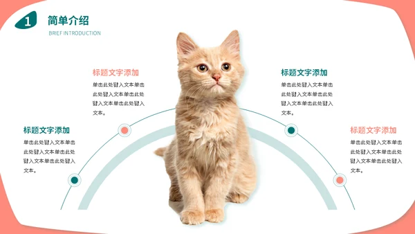 宠物店猫狗饲养心得经验分享通用PPT模板