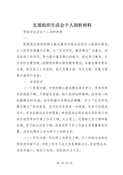 支部组织生活会个人剖析材料.docx