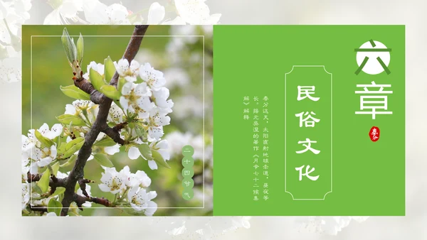 春分春天的白花通用PPT模板