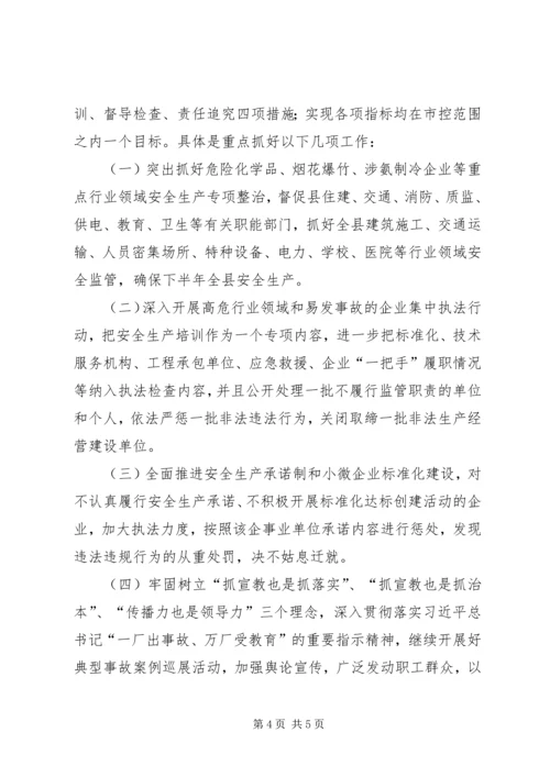县安全生产监督管理局上半年工作报告.docx