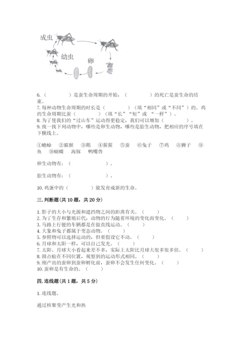 教科版小学科学三年级下册 期末测试卷【考点精练】.docx