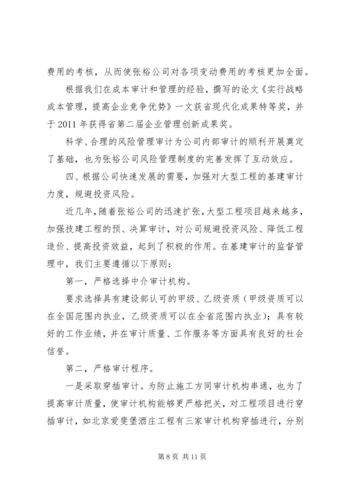 公司内部审计经验交流.docx