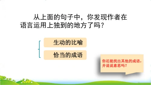 27 我的“长生果“   课件