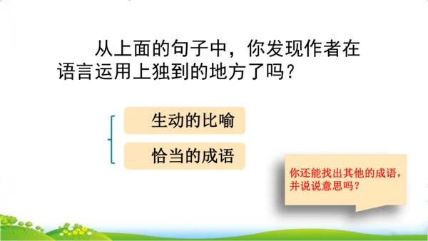 27 我的“长生果“   课件