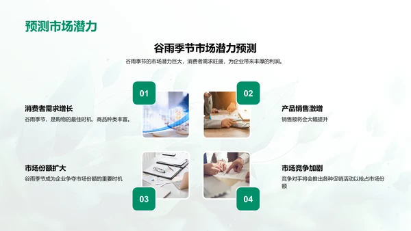 谷雨季营销策略报告
