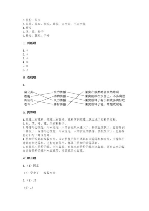 教科版四年级下册科学第一单元《植物的生长变化》测试卷及答案（有一套）.docx