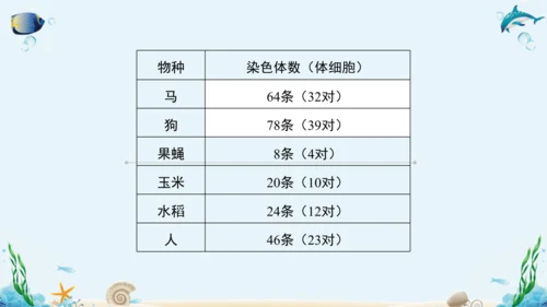 人教版八年级下册生物复习课件