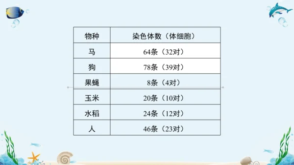 人教版八年级下册生物复习课件