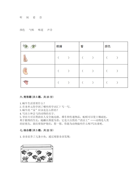 教科版小学科学一年级下册期末测试卷（轻巧夺冠）.docx