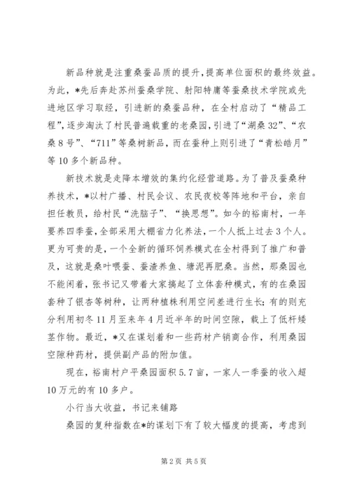 村党支部书记事迹材料 (3).docx