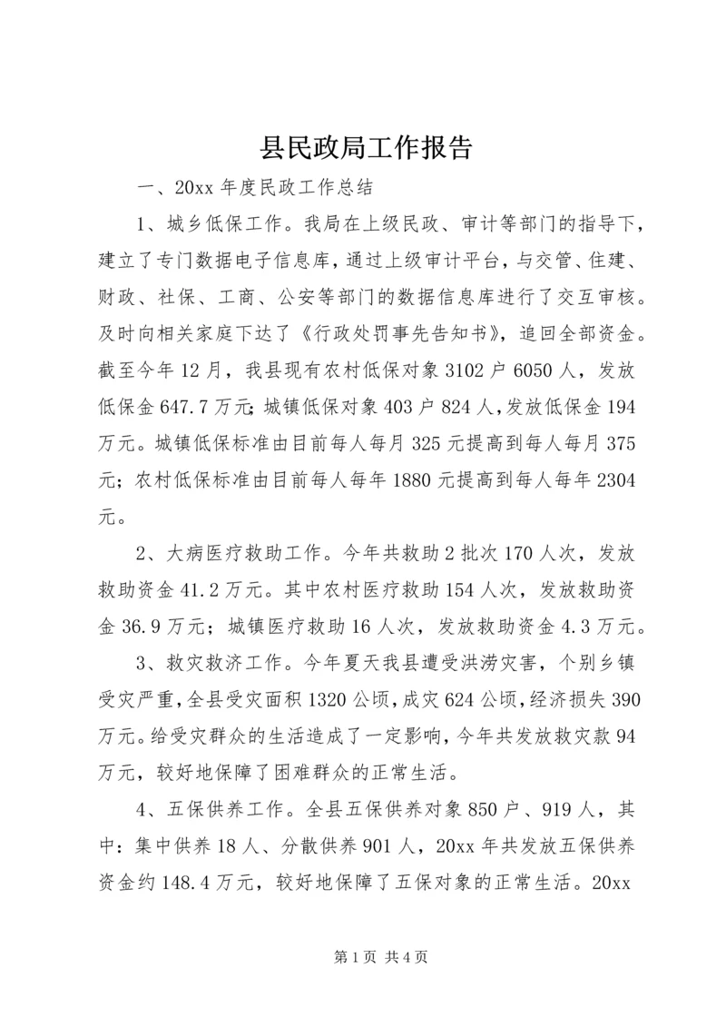 县民政局工作报告.docx