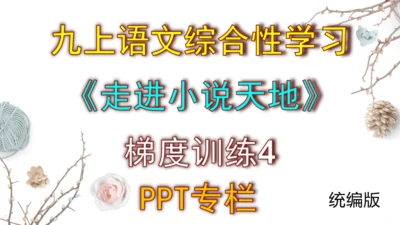 九上语文综合性学习《走进小说天地》梯度训练4 课件