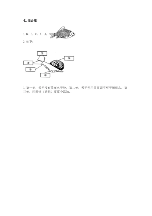 教科版小学科学一年级下册期末测试卷（轻巧夺冠）.docx