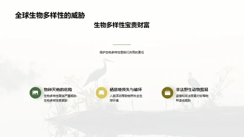 共同关爱地球，保护珍稀物种