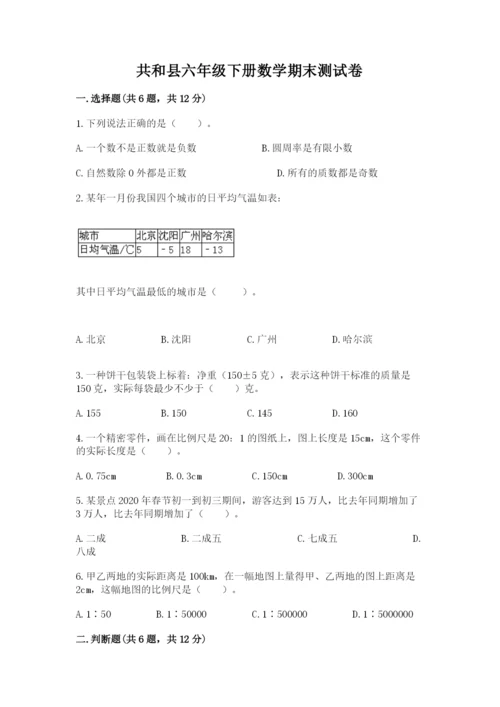 共和县六年级下册数学期末测试卷（夺分金卷）.docx