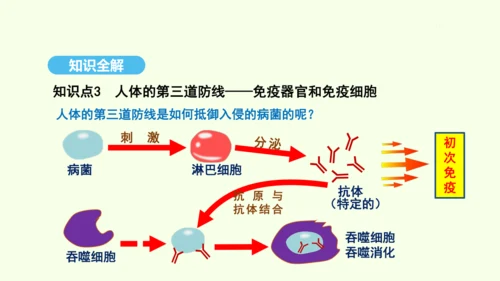 8.1.2.1免疫与计划免疫（第一课时）课件-人教版生物八年级下册(共28张PPT)