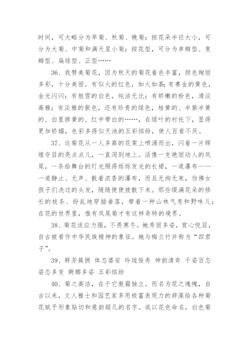 描写菊花的好词好句摘抄.docx