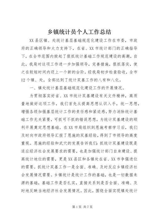 乡镇统计员个人工作总结.docx