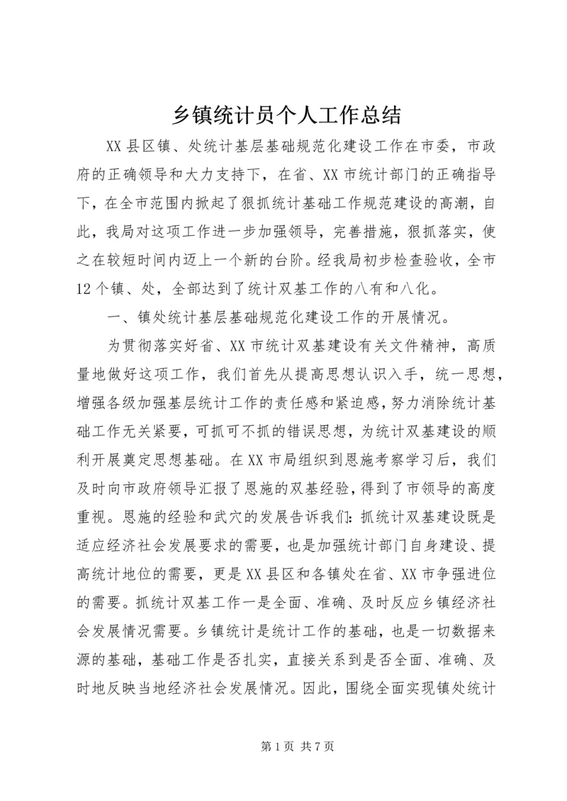 乡镇统计员个人工作总结.docx