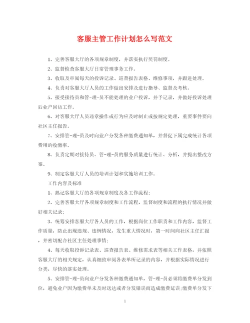 精编之客服主管工作计划怎么写范文.docx