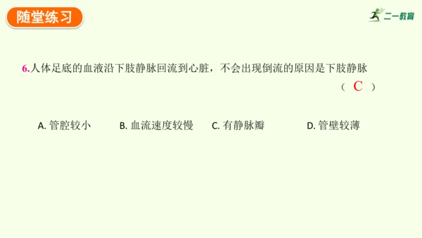 4.4.2血流的管道——血管-七年级生物下学期同步精品课件（2024人教版）(共30张PPT)